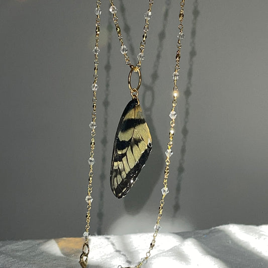 Tiger swallowtail Winged Necklace